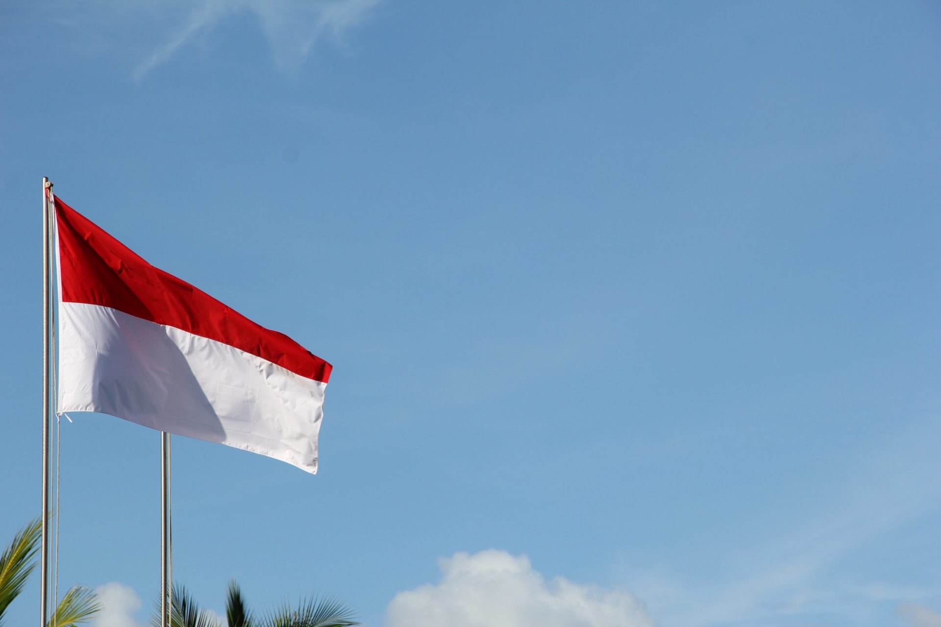 L'Indonésie lance un nouveau visa électronique