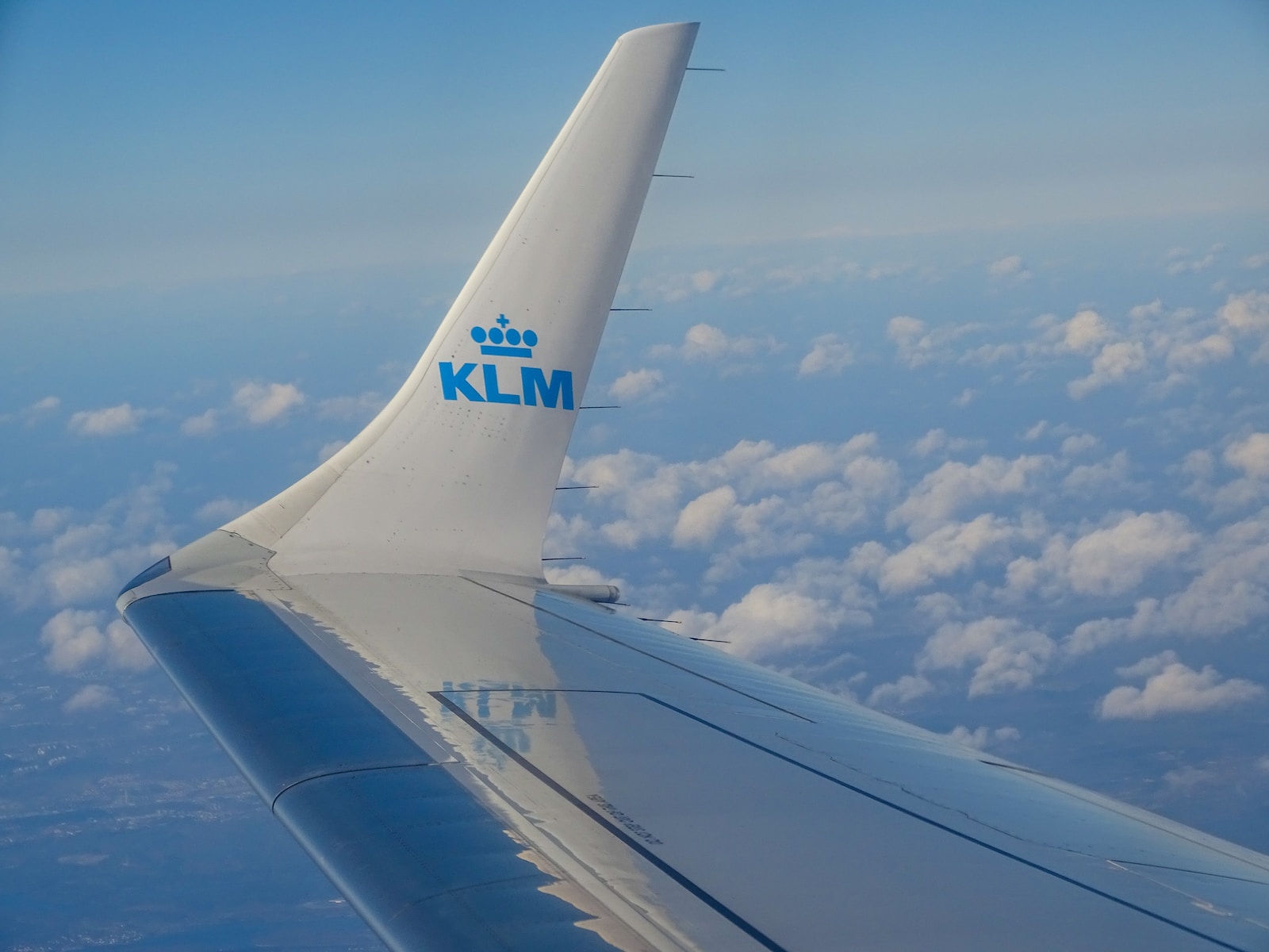 Voyager avec un animal sur KLM