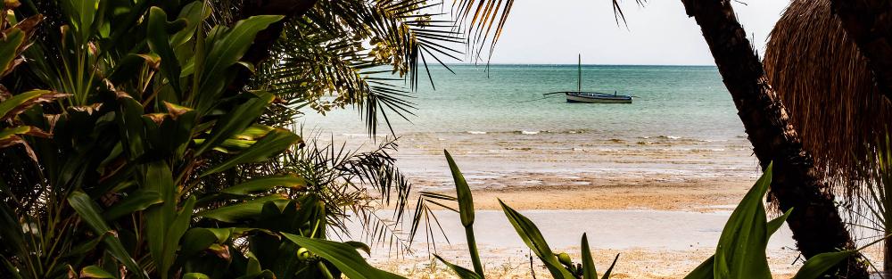 Photo d'un paysage localisé en Mozambique