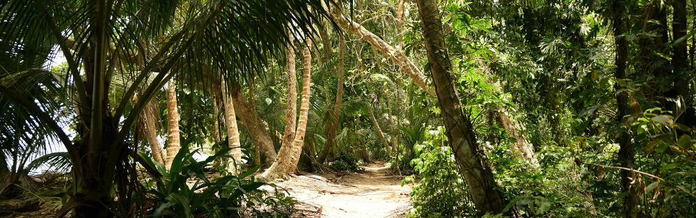 Photo d'un paysage localisé en Îles Pitcairn