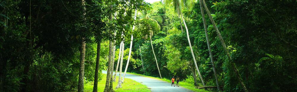 Photo d'un paysage localisé en Papouasie-Nouvelle-Guinée