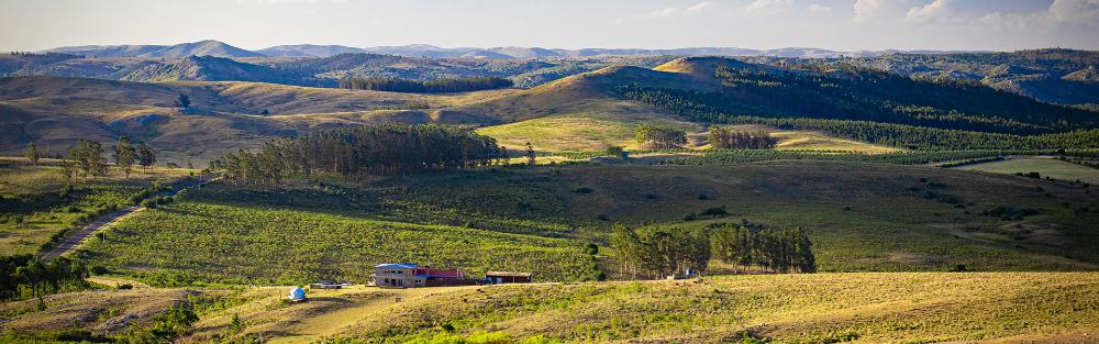 Photo d'un paysage localisé en Uruguay